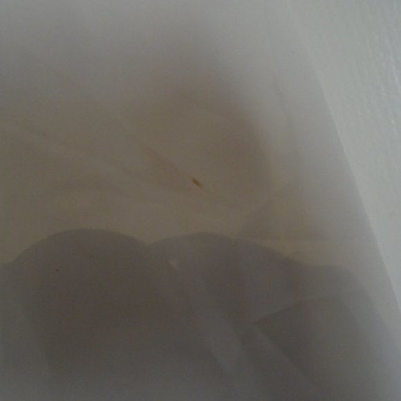 White Windbreaker Crop Top Jacket - Picture 4 of 5